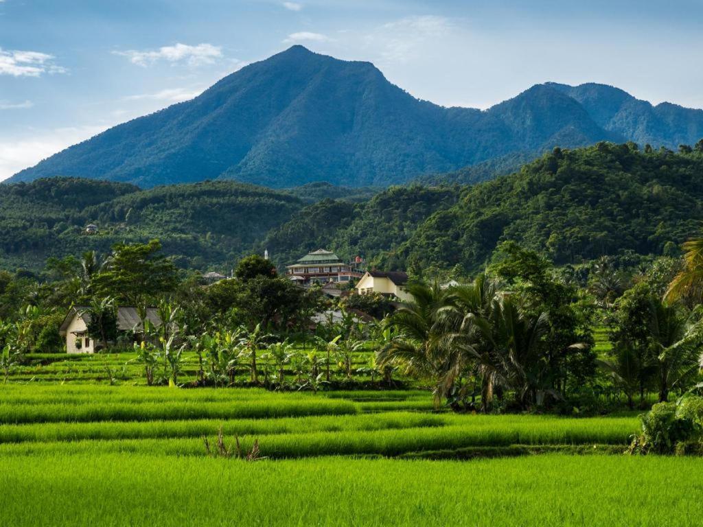 Bogor Valley Hotel Dış mekan fotoğraf