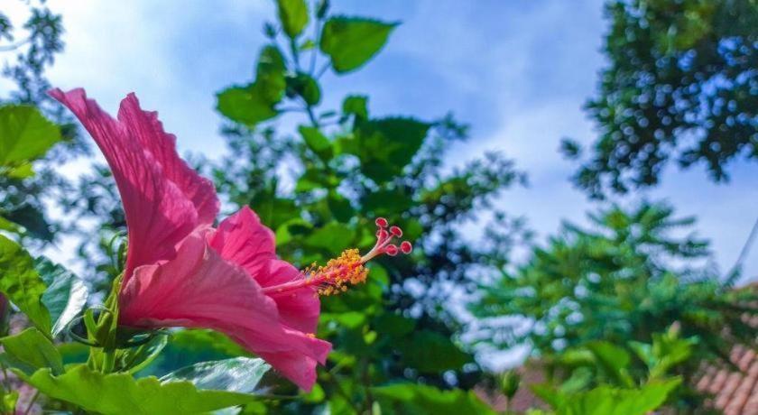 Bogor Valley Hotel Dış mekan fotoğraf